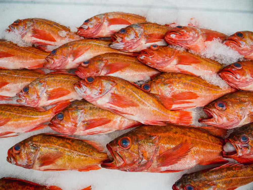 Fresh daily seafood arranged on crushed ice at the fishmonger counter