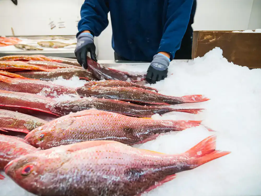 Fishmonger expertly preparing a fish behind the counter