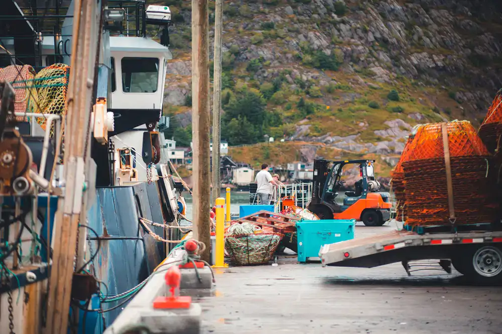 Fisherman unloading fresh crates from a day boat