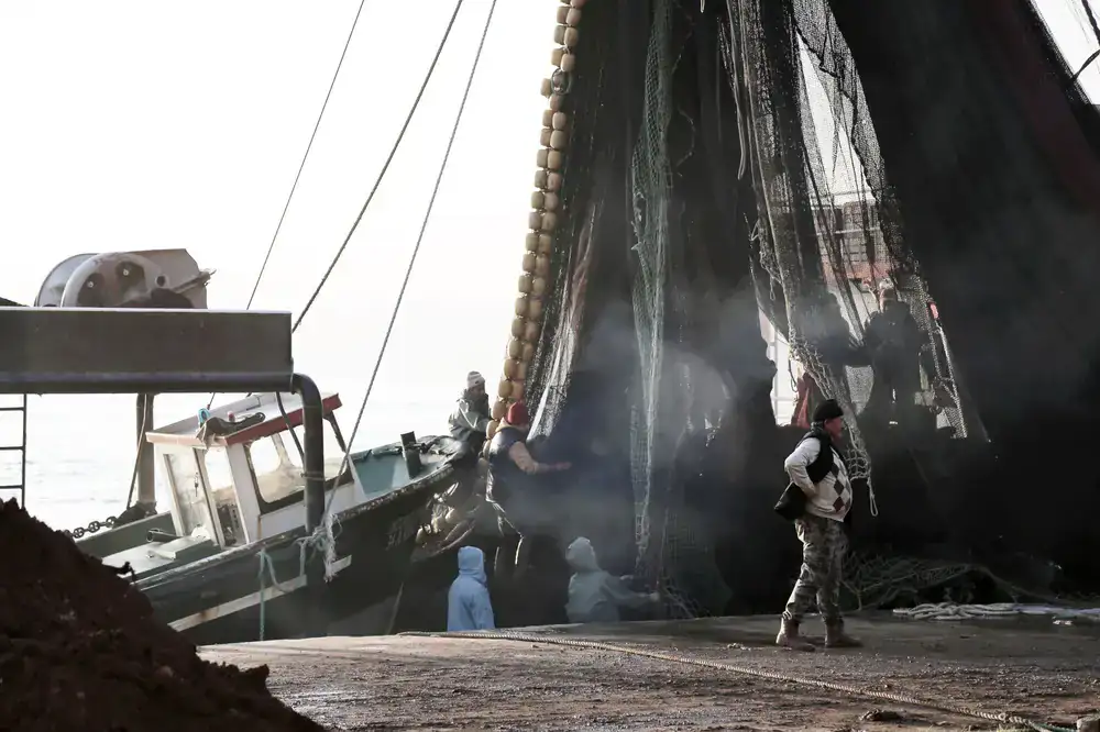 Crew member inspecting a fresh catch on deck