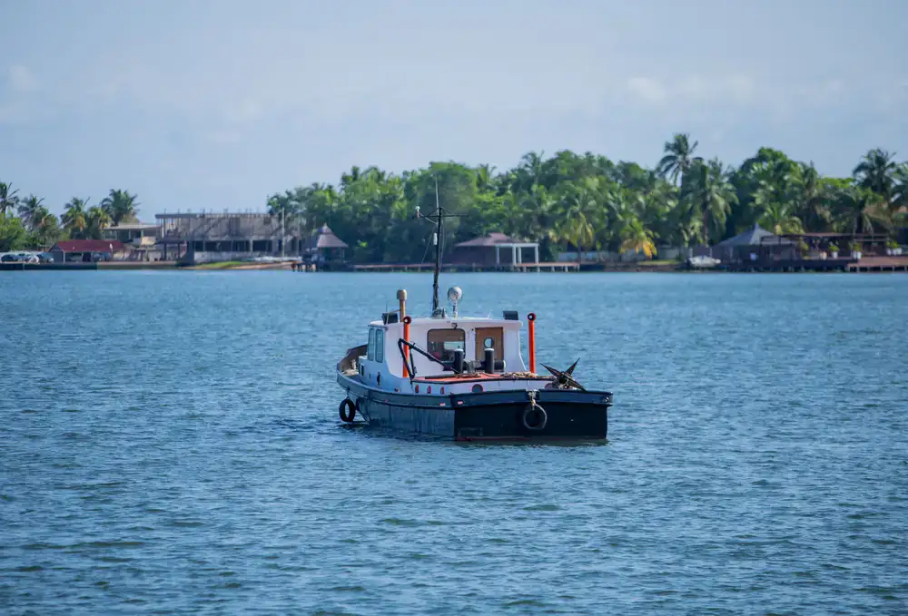 Small boat navigating coastal estuary waters