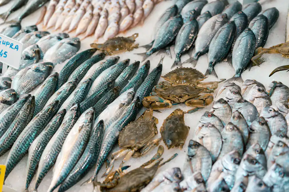 Whole line-caught fish displayed on ice